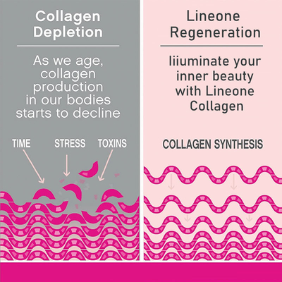 OEM Collagen Protein Drink Powder Produkty kosmetyczne Hydrolizowany kolagen rybny Peptyd kolagenowy