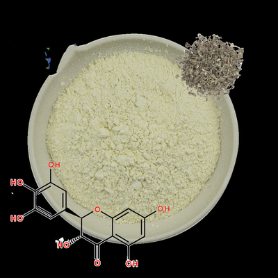 OEM private label dihydromyricetin z herbaty winorośli Ekstrakt z herbaty Vine Tea Extract dihydromyricetin w proszku 98%