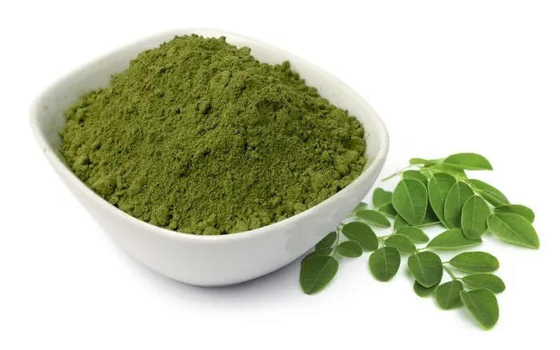 OEM Moringa w proszku prywatne marki Moringa kapsułki organiczne spersonalizowane liście moringi w proszku