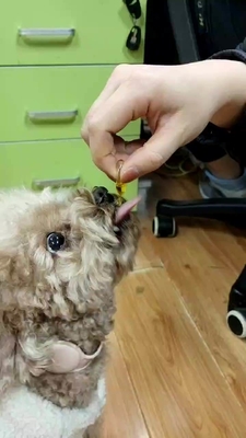 Suplement diety OEM Pet Health Olej z ryb dla psów i kotów Omega 3