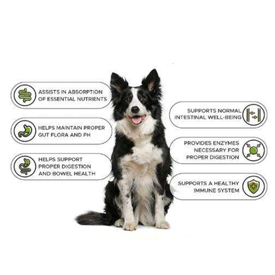OEM Natur Pet Nutrit Training Gain Tablet Suplement Health Muscle Gain Builder Dog Weight Gain Protein Suplement diety