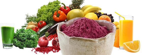 Producent Dostarczanie Gorąca sprzedaż Rozpuszczalny w wodzie Instant Elderberry Juice Powder Fruit Powder